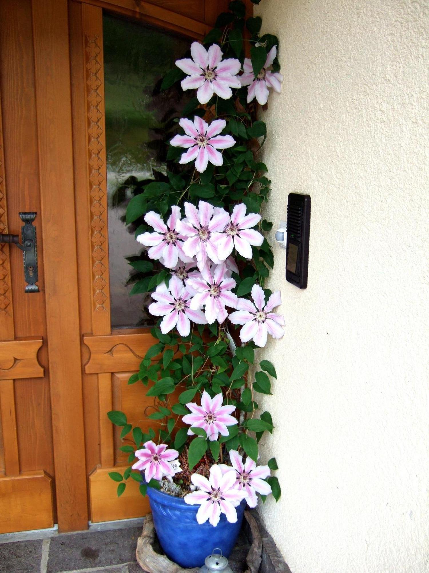 Lungau Apartment - Ferienwohnung Haus Esl Hintergöriach Exterior foto